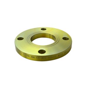 DIN2576 Flange EN1092-1 Type01 DIN2502 DIN2503 F304 F316 S235JR RST37.2