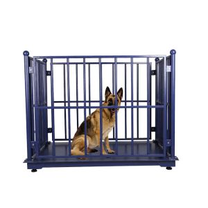 Dynamic ODM 100Kg Weighing Scale For Live Pigs