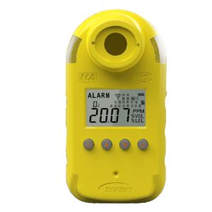 Wholesale CO&amp;H2S multigas detector CTL1000/100 from china suppliers