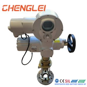 30Nm Torque Electric Linear Actuator with Modulating Control and Thermal