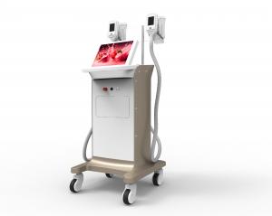double handle work at the same time electric muscle stimulation Cryolipolysis weight loss machine