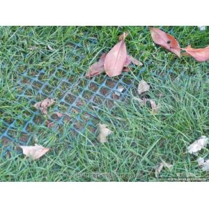 Processing Service Moulding HDPE Grass Reinforce Nets Plastic Meshes Net