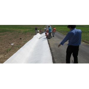 Pioneer Cement Sand Mixed Concrete Mat Rolls For Permanent Erosion Control