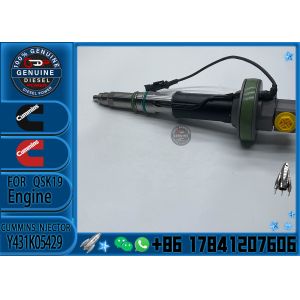 Common Rail Diesel Fuel Injector Assembly 4955524 F00BL0J019 Y431K05429 for
