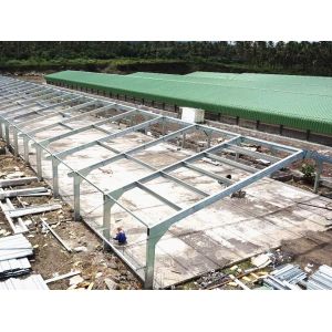 Modern Lightweight Metal Frame Building Poultry Farm Structure