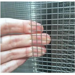 China Galvanized Welded Wire Mesh Fabric Amazon Hot Sale for Mesh Opening：50