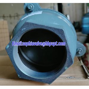 GG20 BS21 cast iron resilient seal foot valve