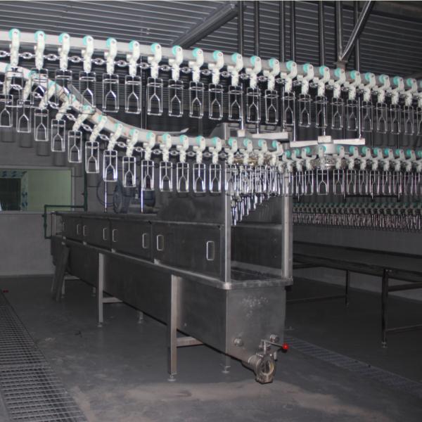 Overhead Conveyor System Chicken Slaughterhouse Poultry Processing Machine Poultry Chicken Duck Goose Customized Slaughter Line