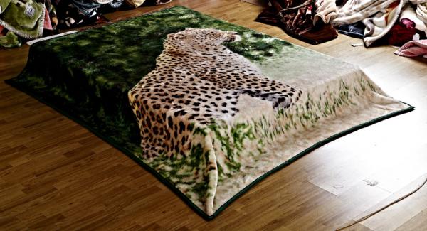 Quality Leopard Printed Micro Raschel Throw Blanket , Eco Friendly Lightweight Fleece Blanket for sale