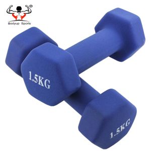Strength Training Dumbbell For Ladies , Wear Resistant Cast Iron Dumbbells