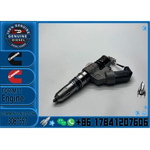 Factory High-quality Truck Engine Assembly Parts Diesel Fuel Injector 4307795