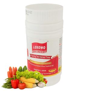 Trusted Manufacturer Nutrient Solutions Fertilizer High Quality