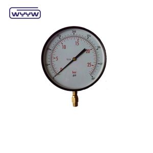 Dry Bottom Connection Precision Test Pressure Gauge OEM ODM OBM Customized