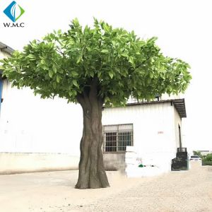 Large Artificial Mango Tree , Artificial Palm Plants Customized Design