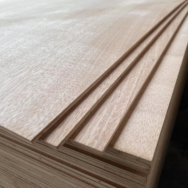 Quality Practical Sturdy Hard Plywood Sheets , Multipurpose Veneered Particle Board for sale