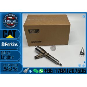 320-0688 Fuel Common Rail Injector 10R-7939 2645A747 2645A749 2645A753 for