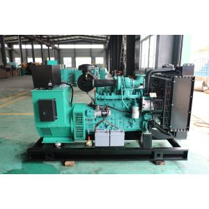 125KVA 100KW Cummins 6CTA8.3-G1 Gas Generator with 50/60hz Frequency in Russian