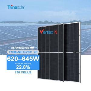 China Solar Power System Trinasolar 620w 625w 630w 635w 640w 645w Dual Glass Pv Module on sale