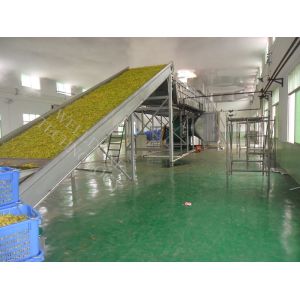 Continuous Conveyor Belt Dryer Diesel Heating Touch Screen Control