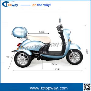 China 3 wheel 500 W 48v electric tricycle scooter for adult or old passenger on sale