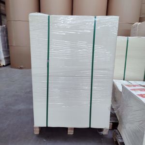 Custom Food Grade Packaging Material Oilproof And Waterproof PE Coating Paper