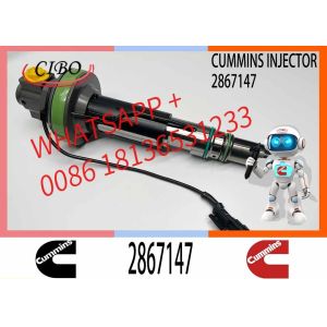 New Repair Kit for K19 Diesel Engine Injector Model Numbers 2867147 2867149