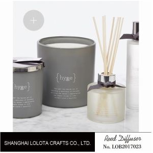 Small Ribbon Natural Reed Diffuser , Bathroom Scent Diffuser Frosted Bottle