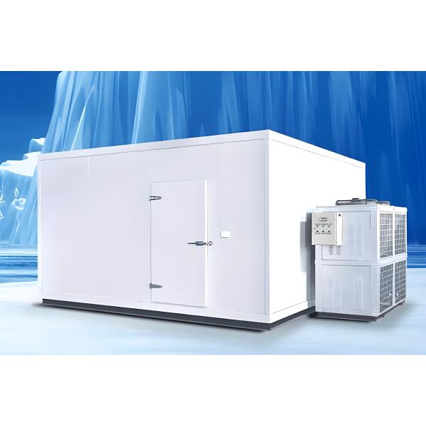 Insulation Cold Room with 0.5mm Steel Plate Capacity 10m3 to 100m3 Polyurethane