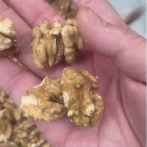 Walnut Kernel Sorting Machine Intelligent Multi-Angle Imaging Modular Design