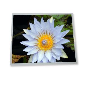 Wholesale M238HCA-P9B high-quality services 23.8 inch industrial control lcd display 1920*1080 in stock lcd screen module from china suppliers