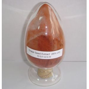 water soluble grape seed extract free samples 95% opc --Vitis vinifera L