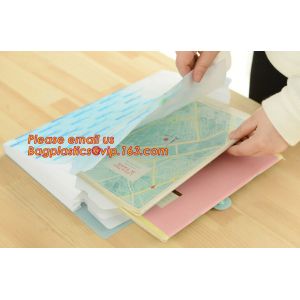 hot selling plastic pp rainbow expanding file wallet folder with elastic band