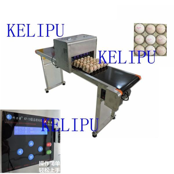 Digital Egg Marking Equipment / Batch Code Printer For Product Identification