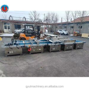 Top Coater and Granular Seeder Seed Cultivation Spotting Machine for Microgreens