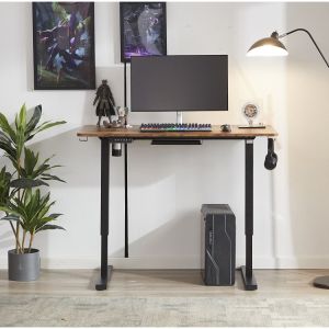 Modern Design Single Motor Electric Height Adjustable Wooden Desk for Student