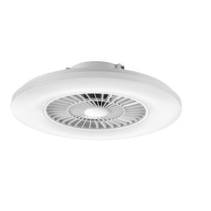 Ceiling Fan Light with Starlight Cover