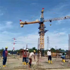 The Used Construction Building Qtz80 6 Ton 5013 Tower Crane Zoomlion