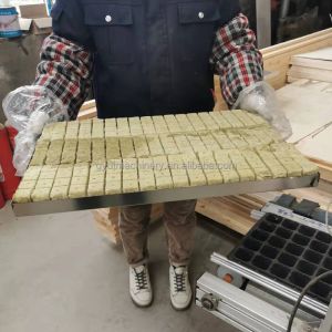 Discounted Sow Planting Machine for Cabbage Seed Nursery 600*700*800mm Size