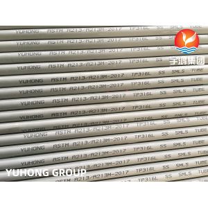 ASME SA213 TP316L 35x2x8000MM Seamless Pickled Boiler Tube for Heat Exchangers