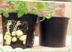 High quality PP potato grow pot planting bag,Gallon Garden Plastic Nursery Plant