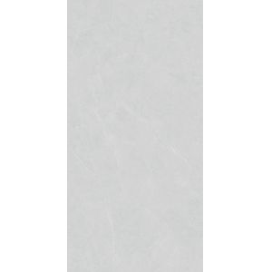 High Glossy Porcelain Floor Tiles Glazed 600x1200mm For House