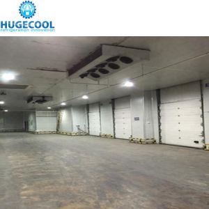 Logistics Cold Storage For Fruit And Vegetable Storage 1400 Tons Large Cold