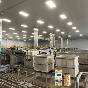 Custom Mushroom Canned Food Production Line Automatic Machines