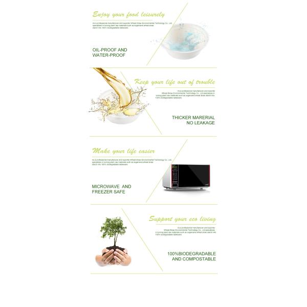 Sugarcane pulp paper packaging burger box container