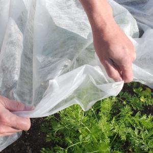 Wholesale Nonwoven Plant Covers Protection Garden Crop Biodegradable from china suppliers