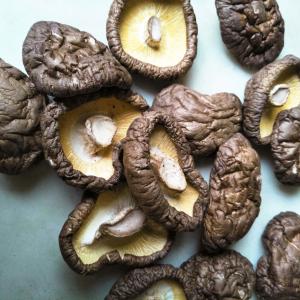 Wholesale Premium Dried Shiitake Mushrooms Healthy Nutritious Delicious from china suppliers