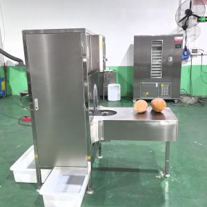 China Efficient Output Quality Assurance Convenient And Practical Large Pumpkin Peeler on sale