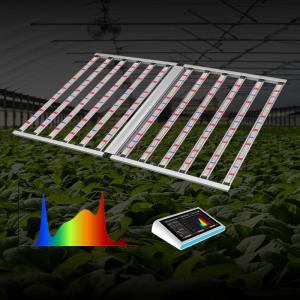IP65 12 Bar Full Spectrum LED Grow Lamp 1200W Flowering LED Grow Light