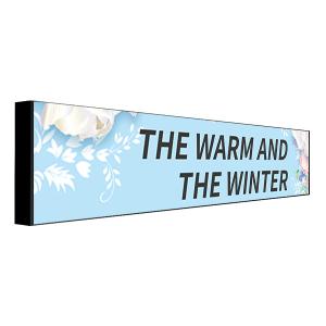 High Refresh Rate Custom P4.35mm Bus LED Screen For Auto Advertising