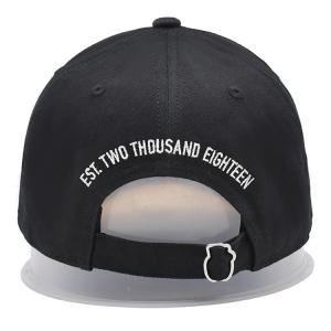 100% Cotton Material Baseball Cap With Customer Logo, 3D Embroidery Customizatio